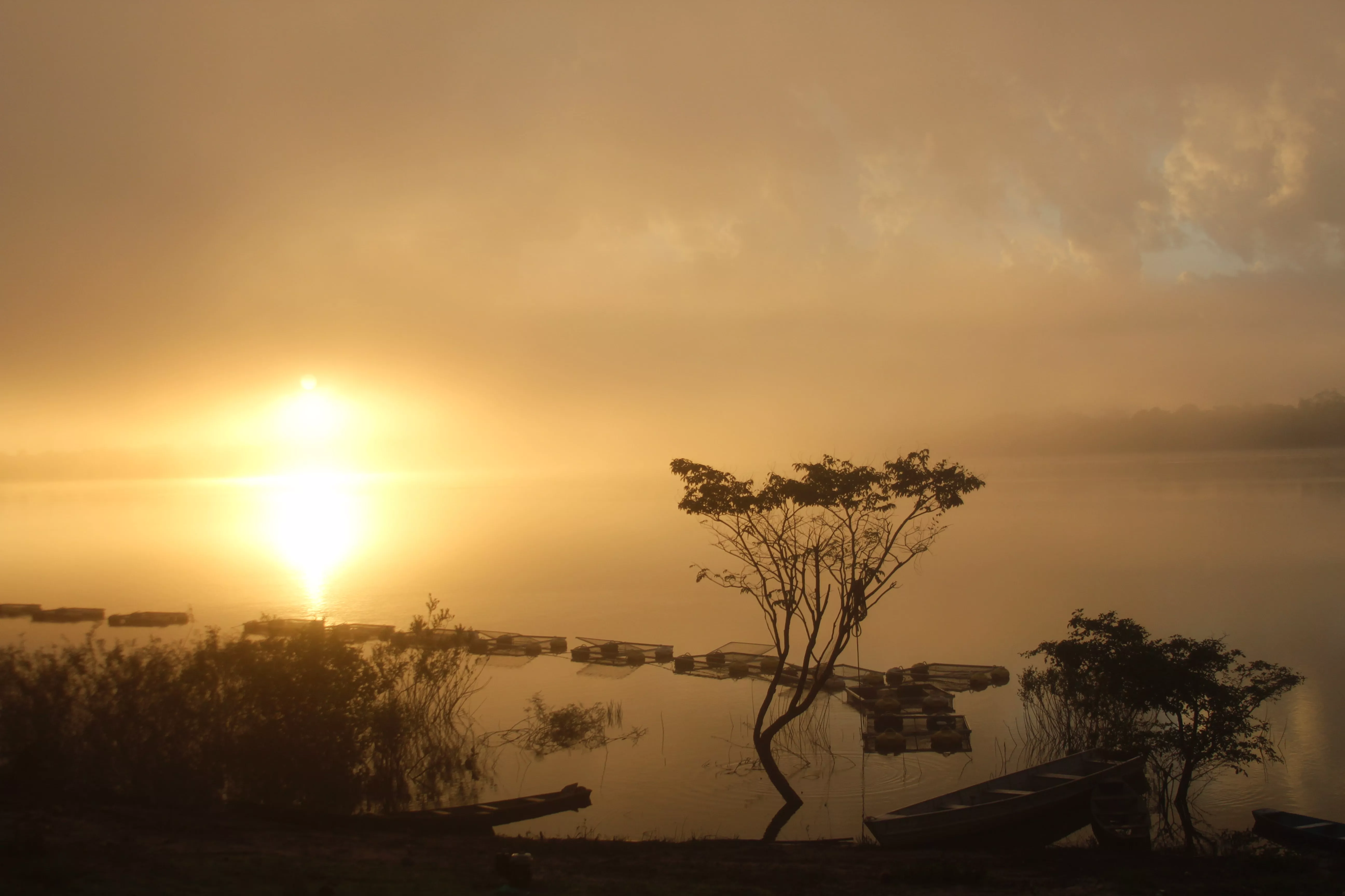 Terra Indígena Cachoeira Seca